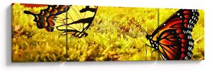 Obraz motýlů (170x50 cm)