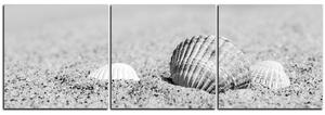 Obraz na plátně - Moře a mušle - panoráma 5126QB (90x30 cm)