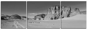Obraz na plátně - Silnice v poušti - panoráma 5129QC (90x30 cm)