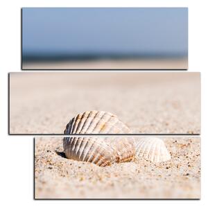 Obraz na plátně - Moře a mušle - čtverec 3126D (75x75 cm)
