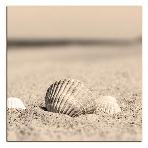 Obraz na plátně - Moře a mušle - čtverec 3126FA (50x50 cm)