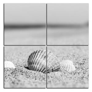 Obraz na plátně - Moře a mušle - čtverec 3126QE (60x60 cm)