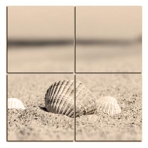 Obraz na plátně - Moře a mušle - čtverec 3126FE (60x60 cm)