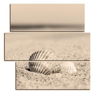 Obraz na plátně - Moře a mušle - čtverec 3126FD (75x75 cm)