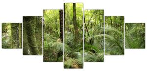 Obraz Tropický deštný prales (210x100 cm)