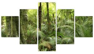 Obraz Tropický deštný prales (125x70 cm)