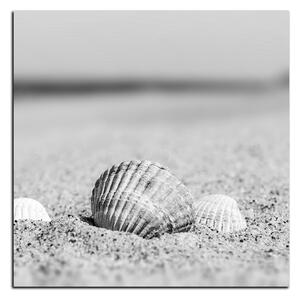 Obraz na plátně - Moře a mušle - čtverec 3126QA (50x50 cm)