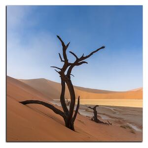 Obraz na plátně - Mrtvý strom v dunách - čtverec 3130A (50x50 cm)
