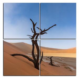 Obraz na plátně - Mrtvý strom v dunách - čtverec 3130E (60x60 cm)