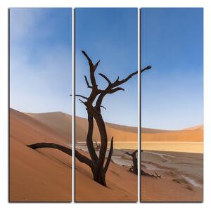 Obraz na plátně - Mrtvý strom v dunách - čtverec 3130B (75x75 cm)