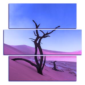 Obraz na plátně - Mrtvý strom v dunách - čtverec 3130FD (75x75 cm)