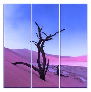 Obraz na plátně - Mrtvý strom v dunách - čtverec 3130FB (75x75 cm)