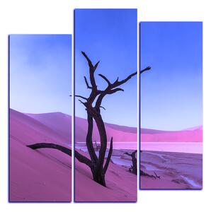 Obraz na plátně - Mrtvý strom v dunách - čtverec 3130FC (75x75 cm)