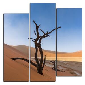 Obraz na plátně - Mrtvý strom v dunách - čtverec 3130C (75x75 cm)