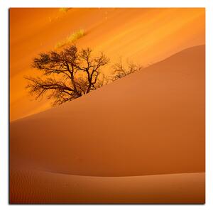 Obraz na plátně - Červené písečné duny - čtverec 3133A (50x50 cm)