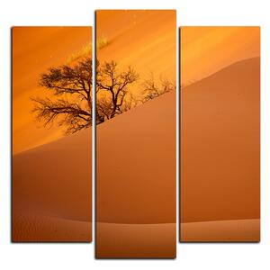 Obraz na plátně - Červené písečné duny - čtverec 3133C (75x75 cm)