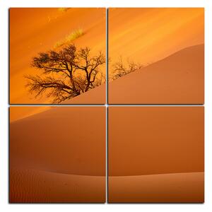 Obraz na plátně - Červené písečné duny - čtverec 3133E (60x60 cm)