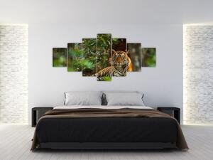 Obraz odpočívajícího tygra (210x100 cm)