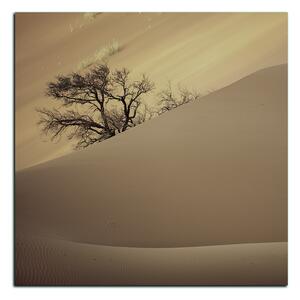 Obraz na plátně - Červené písečné duny - čtverec 3133FA (50x50 cm)
