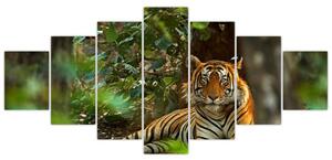 Obraz odpočívajícího tygra (210x100 cm)
