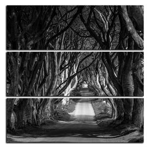 Obraz na plátně - Tmavé ploty v Irsku - čtverec 3134QC (75x75 cm)