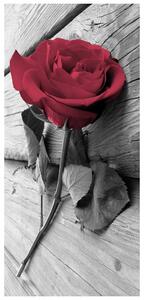 Fototapeta na dveře - Rudá růže (95x205cm)