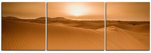 Obraz na plátně - Pouště Sahara - panoráma 5131C (120x40 cm)
