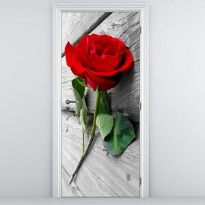 Fototapeta na dveře - Červená růže (95x205cm)