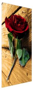Fototapeta na dveře - Růže (95x205cm)