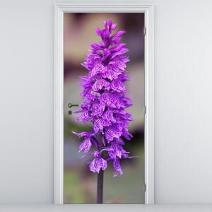 Fototapeta na dveře - Orchidej (95x205cm)