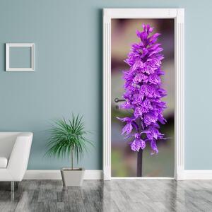 Fototapeta na dveře - Orchidej (95x205cm)