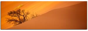 Obraz na plátně - Červené písečné duny - panoráma 5133A (120x45 cm)