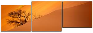 Obraz na plátně - Červené písečné duny - panoráma 5133D (150x50 cm)