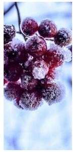 Fototapeta na dveře - Zmrzlé ovoce (95x205cm)
