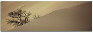 Obraz na plátně - Červené písečné duny - panoráma 5133FA (105x35 cm)