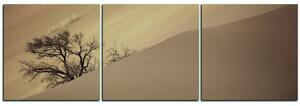 Obraz na plátně - Červené písečné duny - panoráma 5133FB (90x30 cm)
