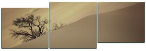Obraz na plátně - Červené písečné duny - panoráma 5133FD (150x50 cm)