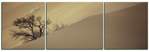 Obraz na plátně - Červené písečné duny - panoráma 5133FC (90x30 cm)
