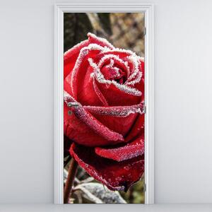 Fototapeta na dveře - Zmrzlá červená růže (95x205cm)