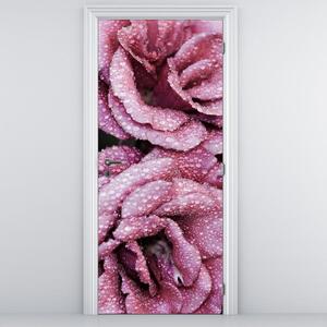 Fototapeta na dveře - Rosa na růžích (95x205cm)