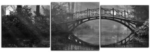 Obraz na plátně - Starý most - panoráma 5139QD (90x30 cm)