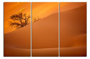 Obraz na plátně - Červené písečné duny 1133B (120x80 cm)