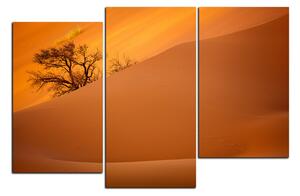 Obraz na plátně - Červené písečné duny 1133D (150x100 cm)