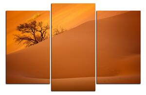 Obraz na plátně - Červené písečné duny 1133C (90x60 cm)
