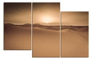 Obraz na plátně - Pouště Sahara 1131FD (90x60 cm)