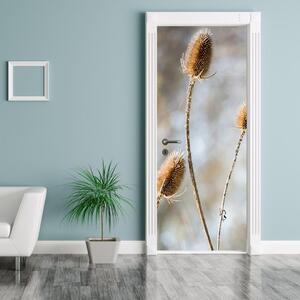 Fototapeta na dveře - suché polní květy (95x205cm)