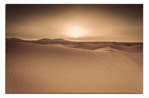 Obraz na plátně - Pouště Sahara 1131FA (120x80 cm)