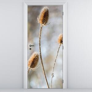 Fototapeta na dveře - suché polní květy (95x205cm)