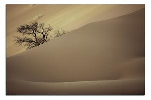 Obraz na plátně - Červené písečné duny 1133FA (90x60 cm )