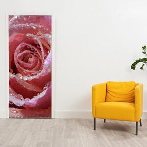 Fototapeta na dveře - květ růže (95x205cm)